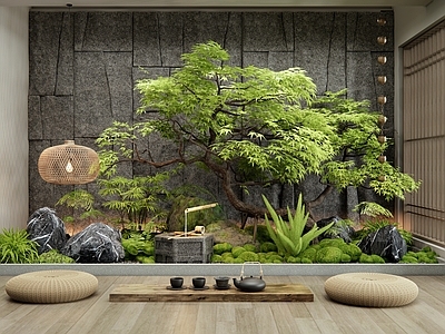 日式室内景观 庭院小品 植物堆 枫树 苔藓 景观石