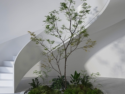 现代楼梯间 现代植物堆 旋转楼梯 旋转楼梯景观 楼梯绿植 楼梯景观