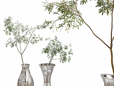 水生植物 现代水养植物盆栽 玻璃花瓶