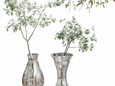 水生植物 现代水养植物盆栽 绿植 玻璃花瓶