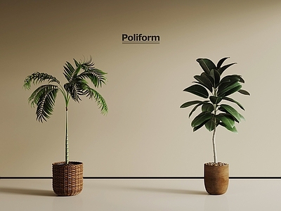 盆栽 现代绿植