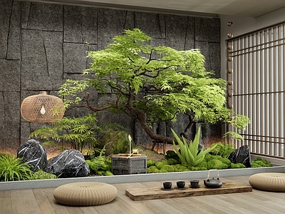 日式室内景观 植物景观 水钵 羽毛枫 藤编吊灯 花草