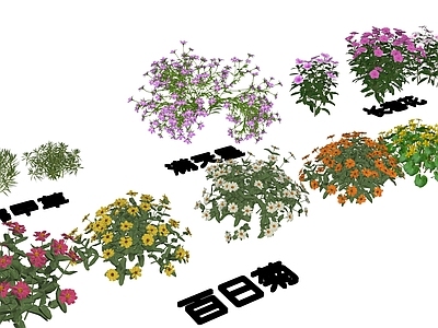 花草 佛甲草 满天星 百日菊 长春花 驴蹄草