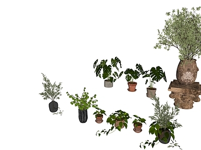 盆栽 植物 植物盆栽 3d植物