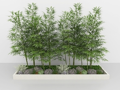 植物堆 绿植竹林