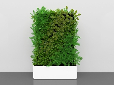 绿植墙 绿植墙