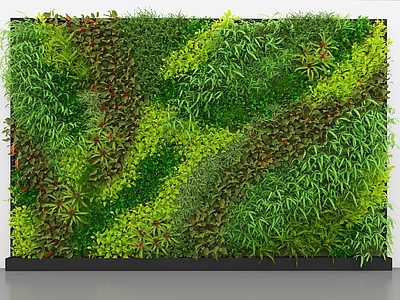 绿植墙 绿植墙