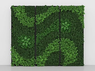 绿植墙 绿植墙