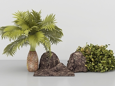 植物堆 绿植乔木椰子 苔藓石头