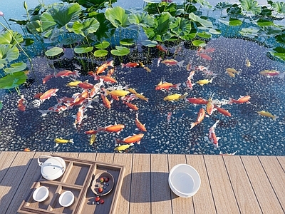 现代新中式水景 鱼池 锦鲤 荷花池