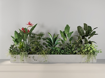 植物组合 植物堆 植物花坛