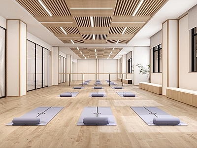 现代瑜伽室 瑜伽室 瑜伽馆 健身房 舞蹈室 普拉提