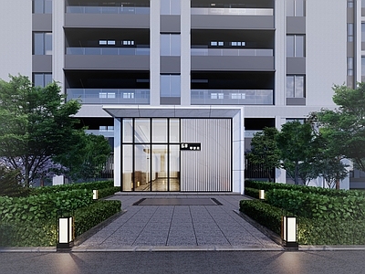 现代极简其他门 现代风格住宅门厅