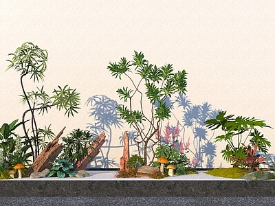 植物堆 现代室内植物组合 花镜 灌木花草 植物堆
