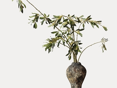 现代新中式花艺 现代花艺摆件 花瓶 绿植植物 盆景盆栽 餐桌摆件