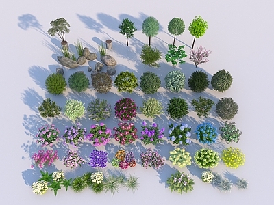 植物堆 现代植物组 棒棒糖组 乔木灌木花卉 地被景石