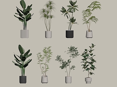 盆栽 盆栽 绿植 植物 植物堆