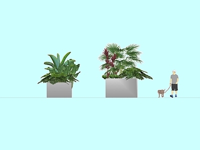 植物组合 盆栽组合 树池植物组合