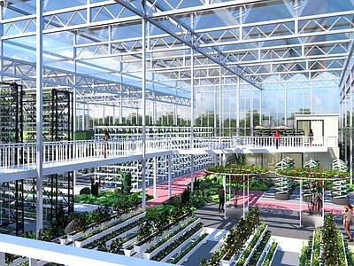 现代乡村公园 农业大棚 现代种植 热带植物 景观化种植