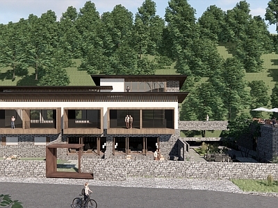 现代新中式乡村民房 民宿改造 民宿小院 乡村建筑