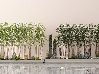 竹子 翠竹 园林竹 现代竹子 花池