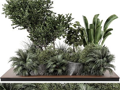 植物堆 现代绿植景观