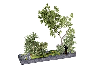 植物组合 植物组合绿植树池 树池植物组合 盆栽组合 盆景罗汉松