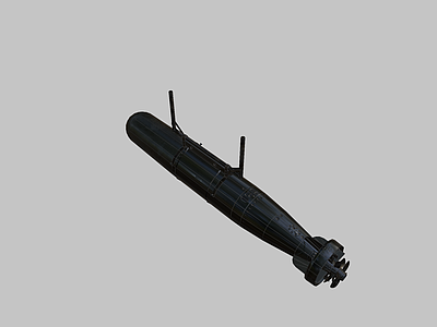 军事器材 武器 炸弹 雷 鱼雷