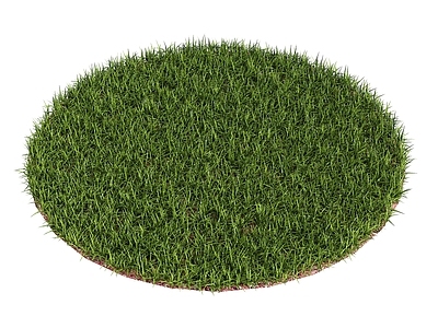 草坪 草地 草坪 花草灌木 小草 野草