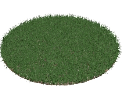 花草 草地 草坪 花草灌木 小草 野草