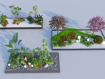 植物堆 现代庭院植物组合 造型紫薇树 灌木绿植