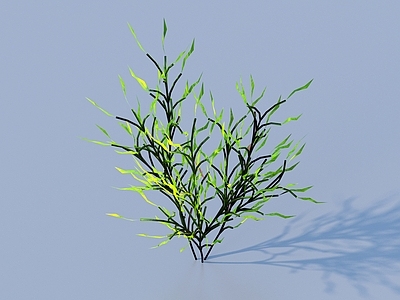 草 水草 水底植物