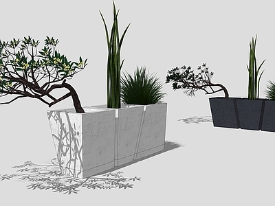 植物组合 盆栽组合 树池植物组合