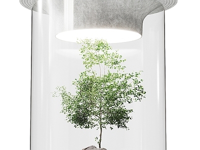 现代其他景观小品 室内造景 玻璃景观 景观绿植小品 植物堆