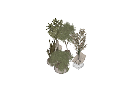 盆栽 盆栽 盆景 绿植 植物
