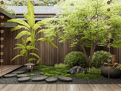新中式日式室内景观 天井景观 庭院花园 植物堆 水钵 景观树