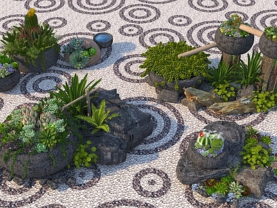 植物堆 现代植物组合 植物堆 多肉植物 庭院植物