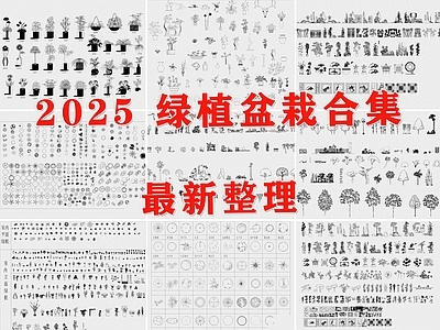 现代绿植 盆栽 花盆 花卉 植物 盆栽绿植 施工图