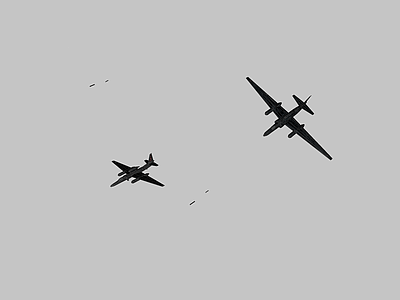 军事器材 航空 飞机 黑色战斗机 黑色轰炸机 龙夫人战斗机