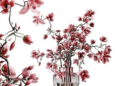 现代花艺 鲜花花卉 艺术插花 玉兰花 玻璃花瓶 餐桌摆件
