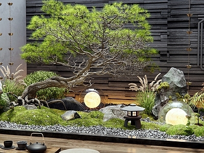 新中式日式庭院 室内景观 天井植物造景 雨链 苔藓 植物堆