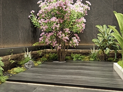 植物组合 天井庭院花园 月季花 苔藓 灌木 庭院小品