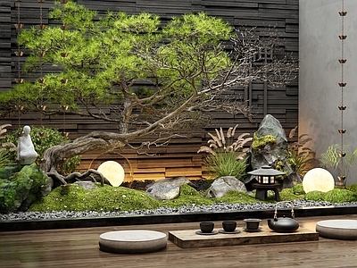 新中式禅意室内景观 天井庭院造景 松树 尾狼草 苔藓石 雨链