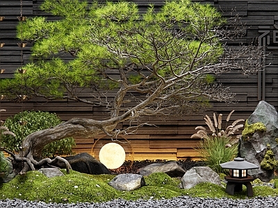 新中式室内景观 天井室内景观 老桩造型松树 苔藓石 灌木 植物堆