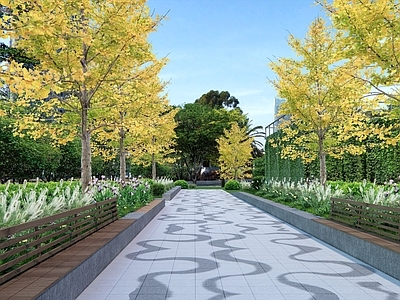 现代景观公园 公园小路 景观小道 道路