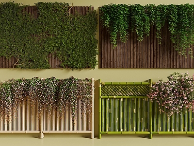 藤蔓 爬墙虎 蔷薇 竹篱笆 绿植藤蔓 院墙