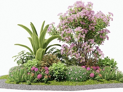 植物堆 花境 灌木 花草组合 月季花 植物组合