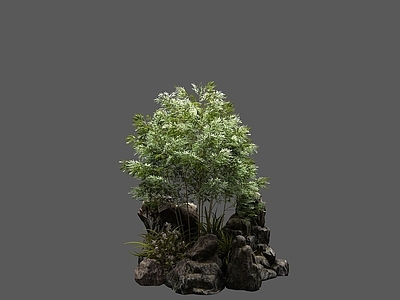新中式石头竹子植物组合