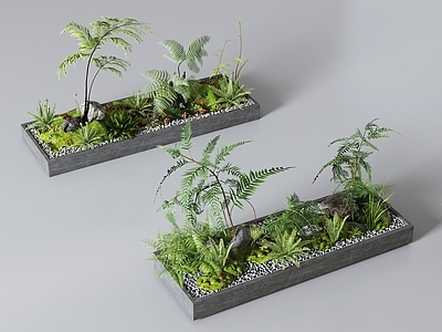 盆栽 现代盆栽 花草盆栽 景观植物