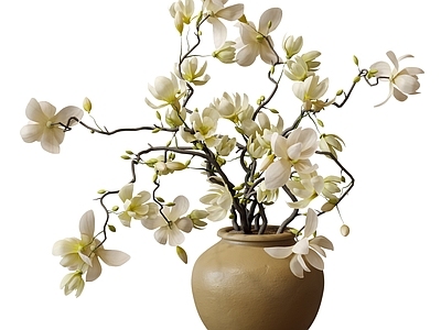中古花艺 艺术插花 陶罐花瓶 玉兰花 鲜花花卉 餐桌摆件